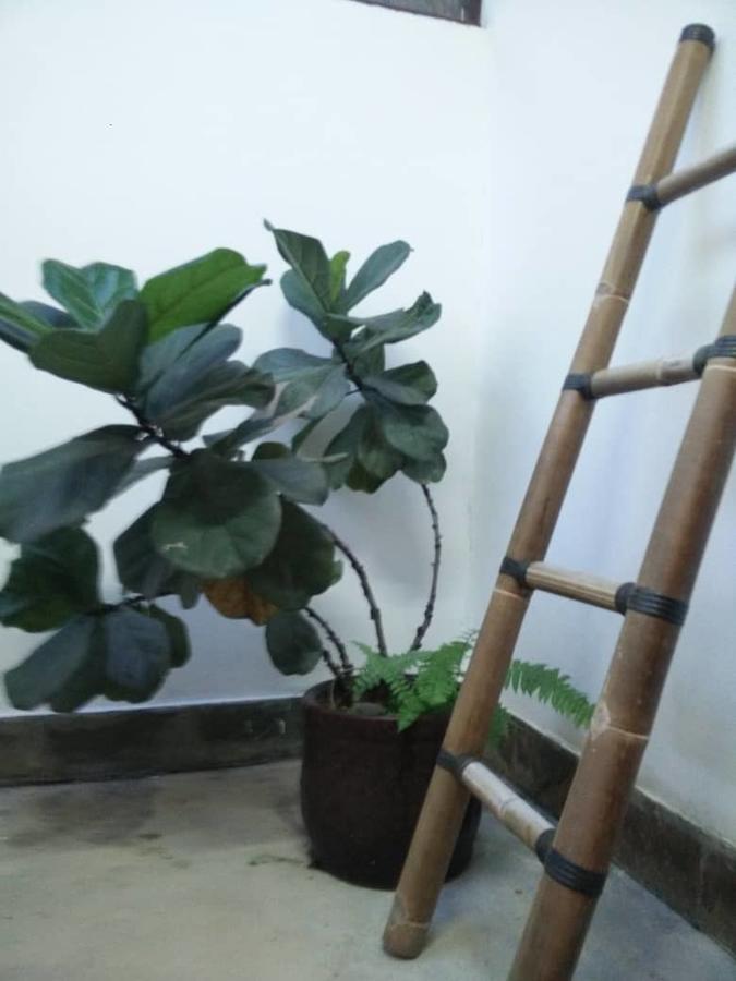 Coco Country Homes Melaka Zewnętrze zdjęcie