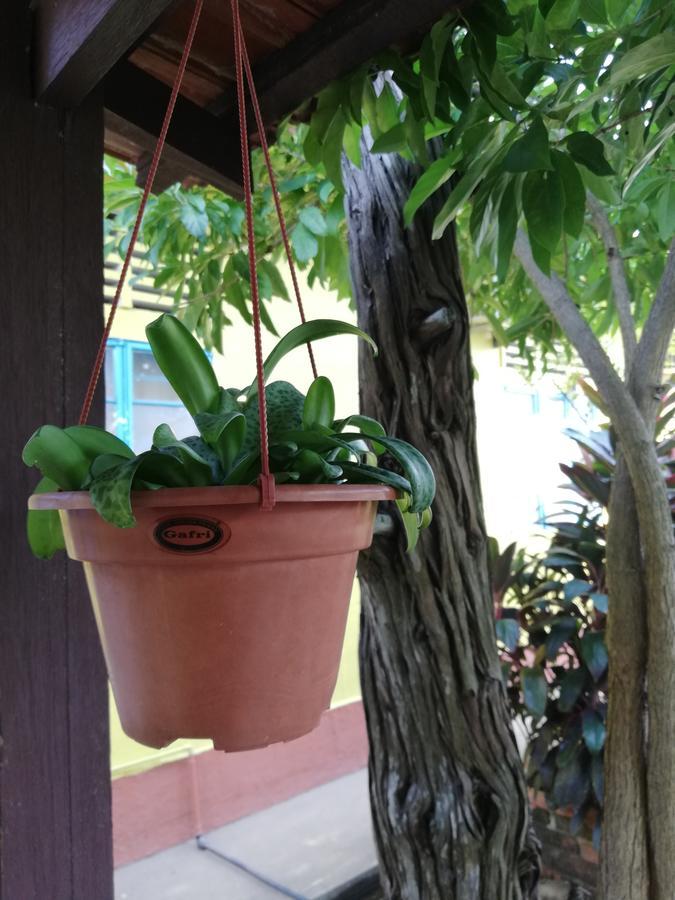 Coco Country Homes Melaka Zewnętrze zdjęcie