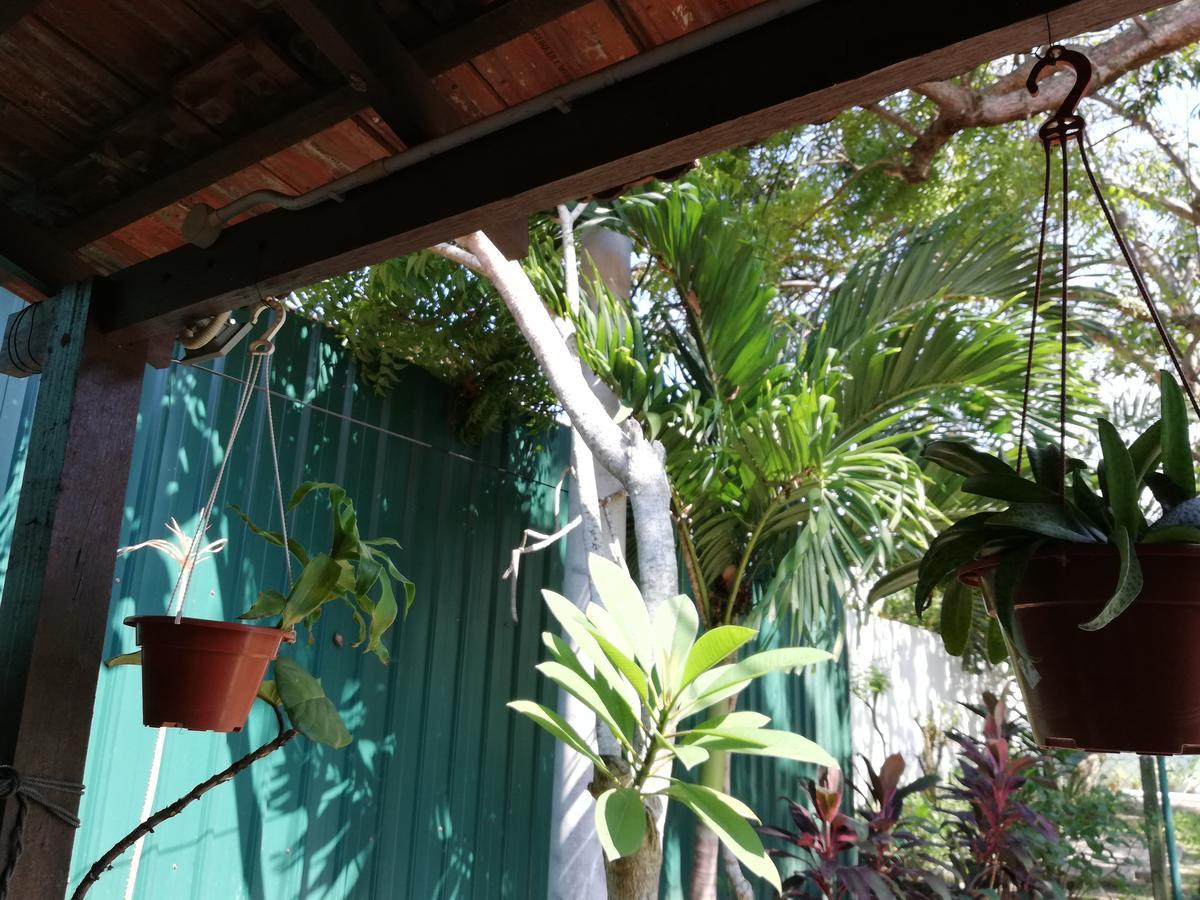 Coco Country Homes Melaka Zewnętrze zdjęcie